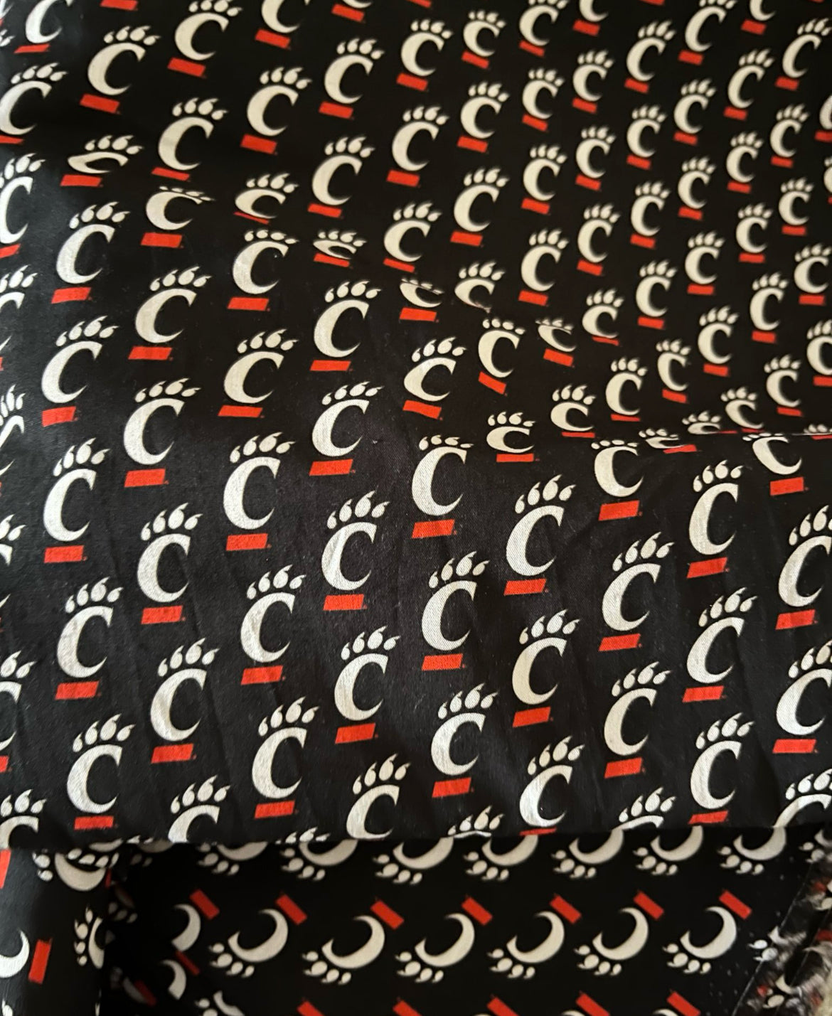 Cincinnati Bearcats Luggage Tag