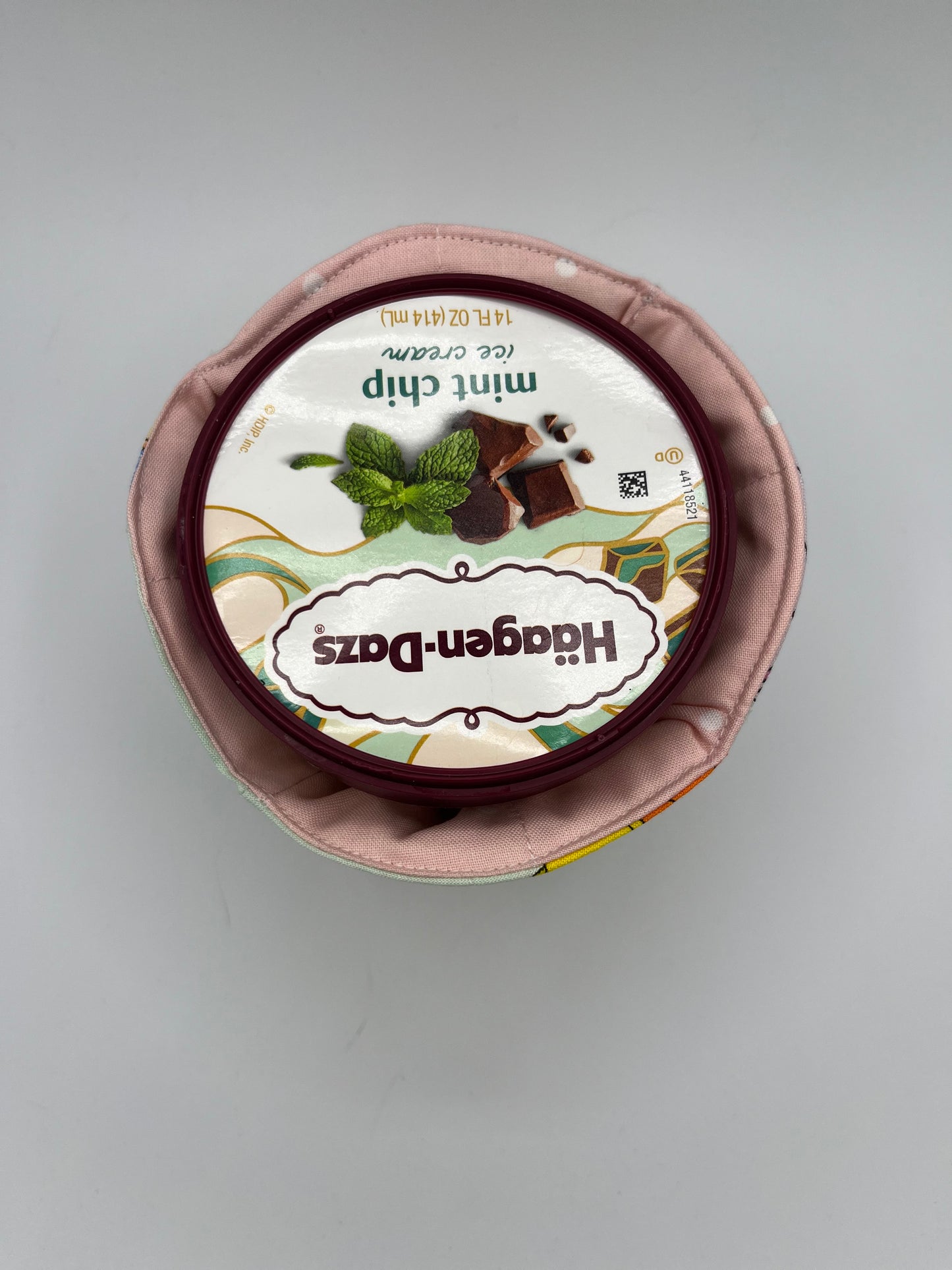 Ice Cream Pint Cozy